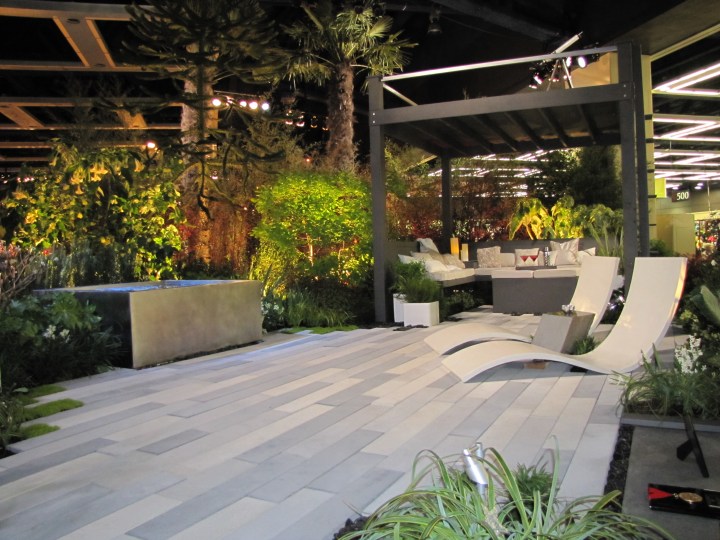 Living Amongst the Stars